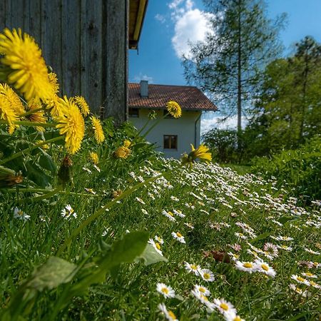 Ferienhaus Schlierachtal Miesbach Exteriér fotografie