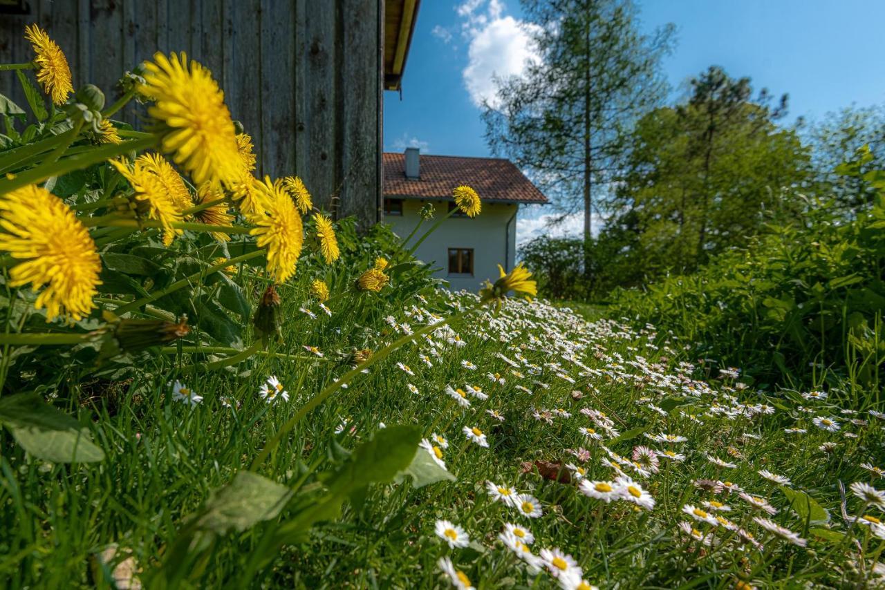 Ferienhaus Schlierachtal Miesbach Exteriér fotografie